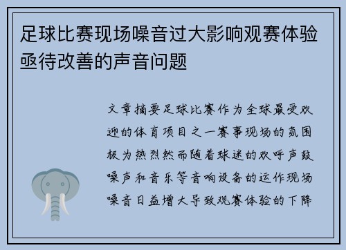 足球比赛现场噪音过大影响观赛体验亟待改善的声音问题