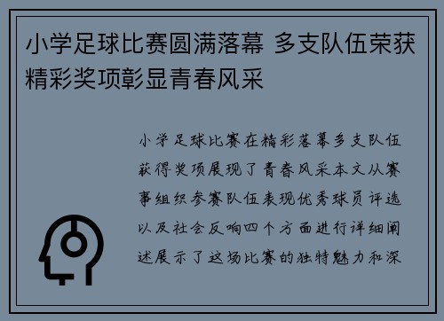小学足球比赛圆满落幕 多支队伍荣获精彩奖项彰显青春风采