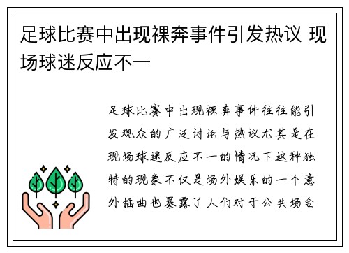 足球比赛中出现裸奔事件引发热议 现场球迷反应不一