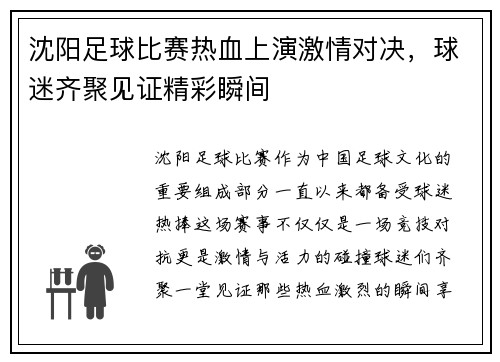 沈阳足球比赛热血上演激情对决，球迷齐聚见证精彩瞬间