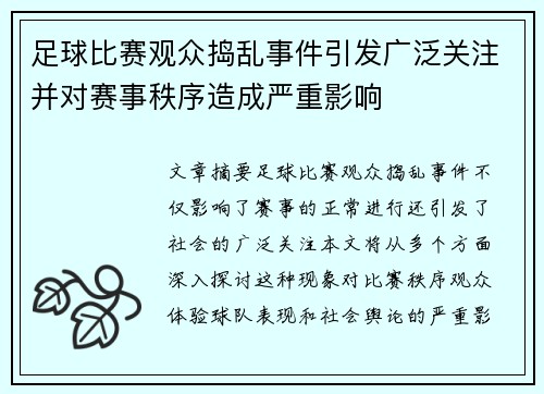 足球比赛观众捣乱事件引发广泛关注并对赛事秩序造成严重影响