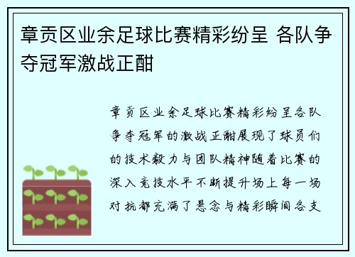 章贡区业余足球比赛精彩纷呈 各队争夺冠军激战正酣