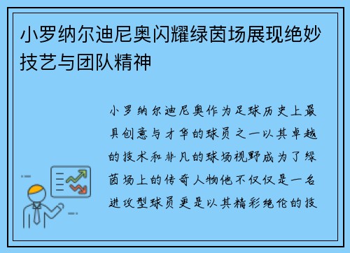 小罗纳尔迪尼奥闪耀绿茵场展现绝妙技艺与团队精神