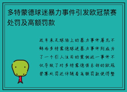 多特蒙德球迷暴力事件引发欧冠禁赛处罚及高额罚款