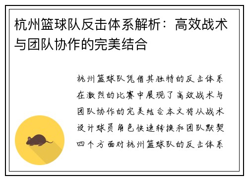 杭州篮球队反击体系解析：高效战术与团队协作的完美结合