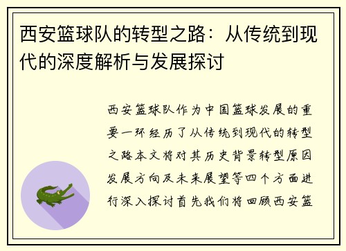 西安篮球队的转型之路：从传统到现代的深度解析与发展探讨